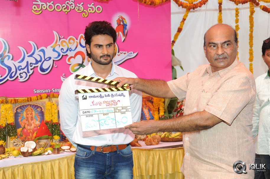Krishnamma-Kalipindi-Iddarini-Movie-Opening